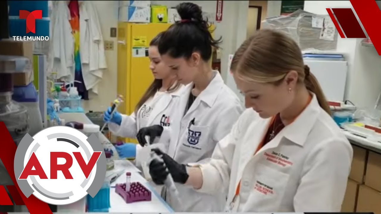 Crean Prueba Que Ofrece Resultados En Solo 30 Minutos