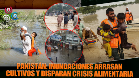 Crisis En Pakistán | Las Inundaciones Destruyen Los Principales Cultivos Del País