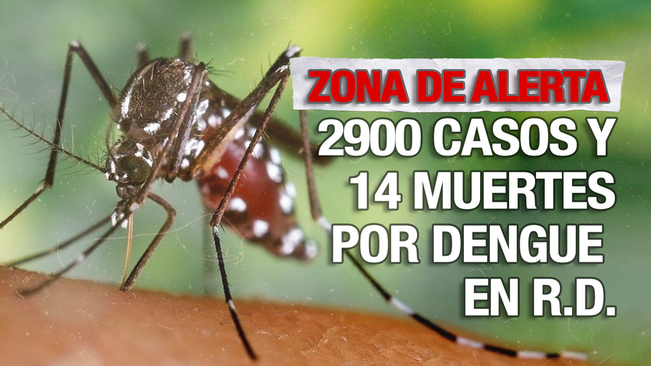Incremento De Casos Y Muertes Por Dengue En Lo Que Va De Año