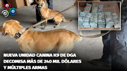 Nueva Unidad Canina K9 De DGA Decomisa Más De 240 Mil Dólares Y Múltiples Armas