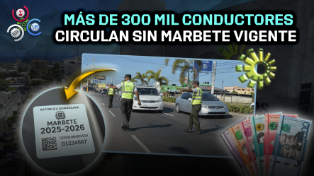 DIGESETT Fiscaliza A Más De 300 Mil Conductores Sin Marbete