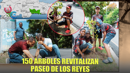 DN Y Fundación Renacer Plantan 150 árboles En Paseo De Los Reyes