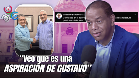 Danilo Díaz Asegura Que Gonzalo Castillo No Ha Confirmado Sus Aspiraciones A La Presidencia