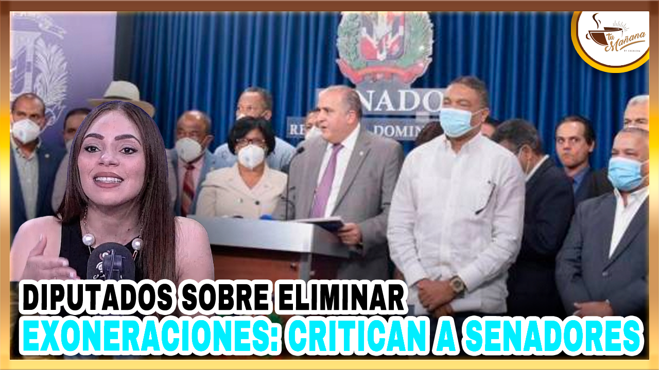 Dannira Caminero – Diputados Sobre Eliminar Exoneraciones Critican A Senadores | Tu Mañana By Cachicha