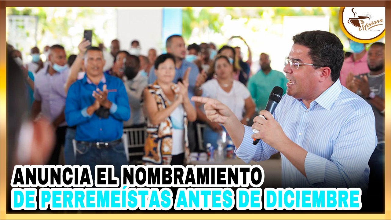 David Collado, Anuncia El Nombramiento De Perremeístas Antes De Diciembre | Tu Mañana By Cachicha