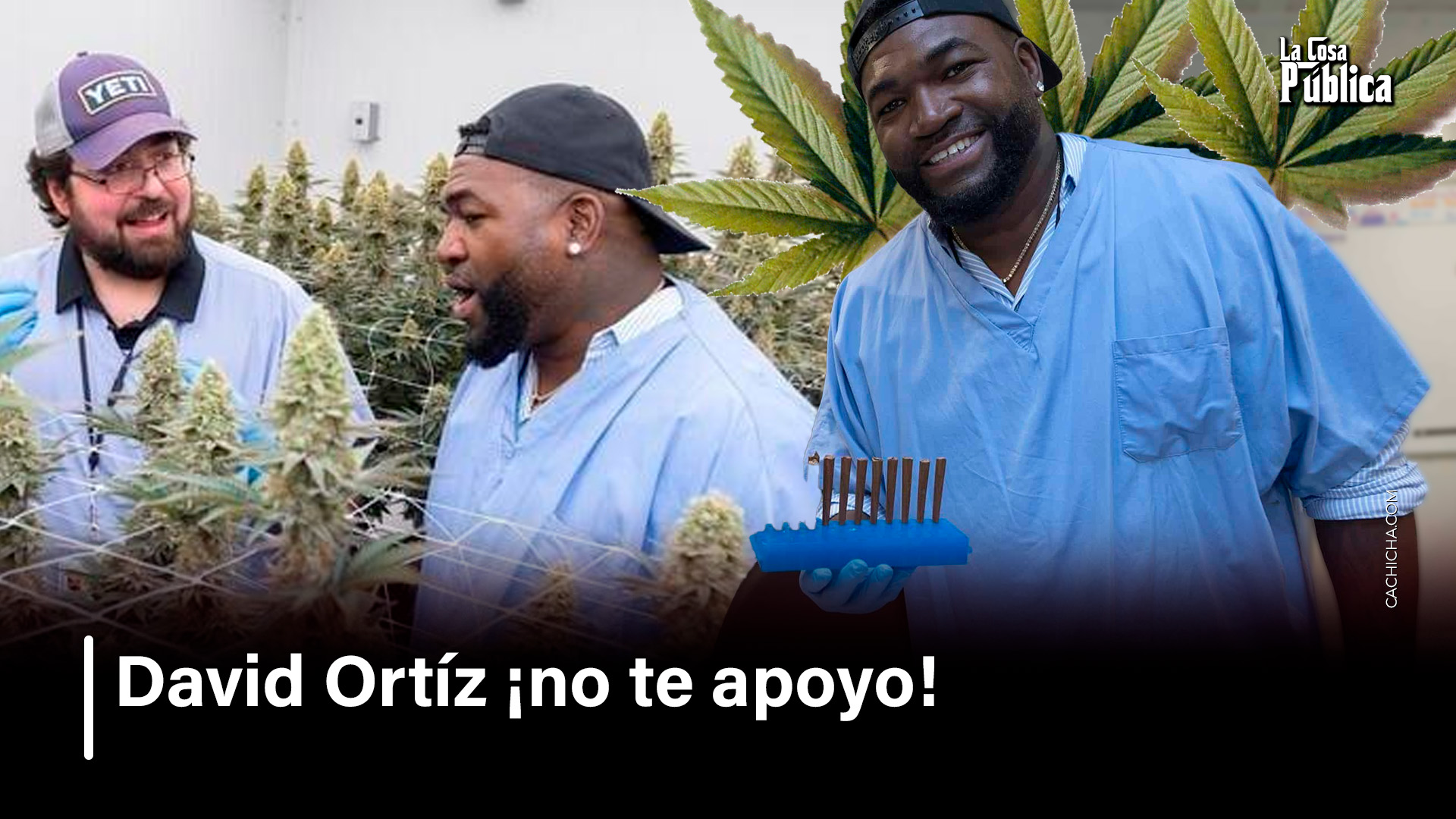 David Ortiz ¡No Te Apoyo!