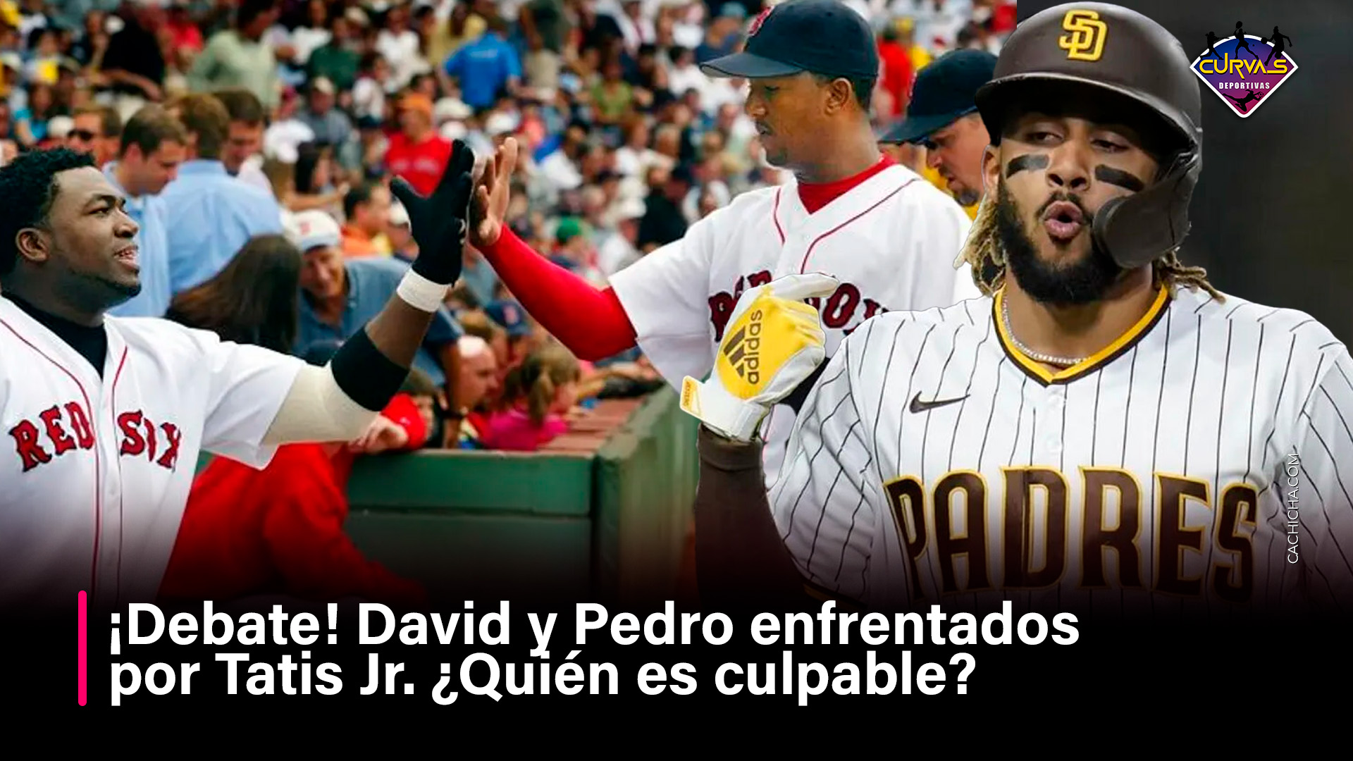 David Y Pedro Enfrentados, Tatis Jr. ¿Quién Es Culpable?
