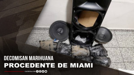 Decomisan Marihuana Sintética Procedente De Miami