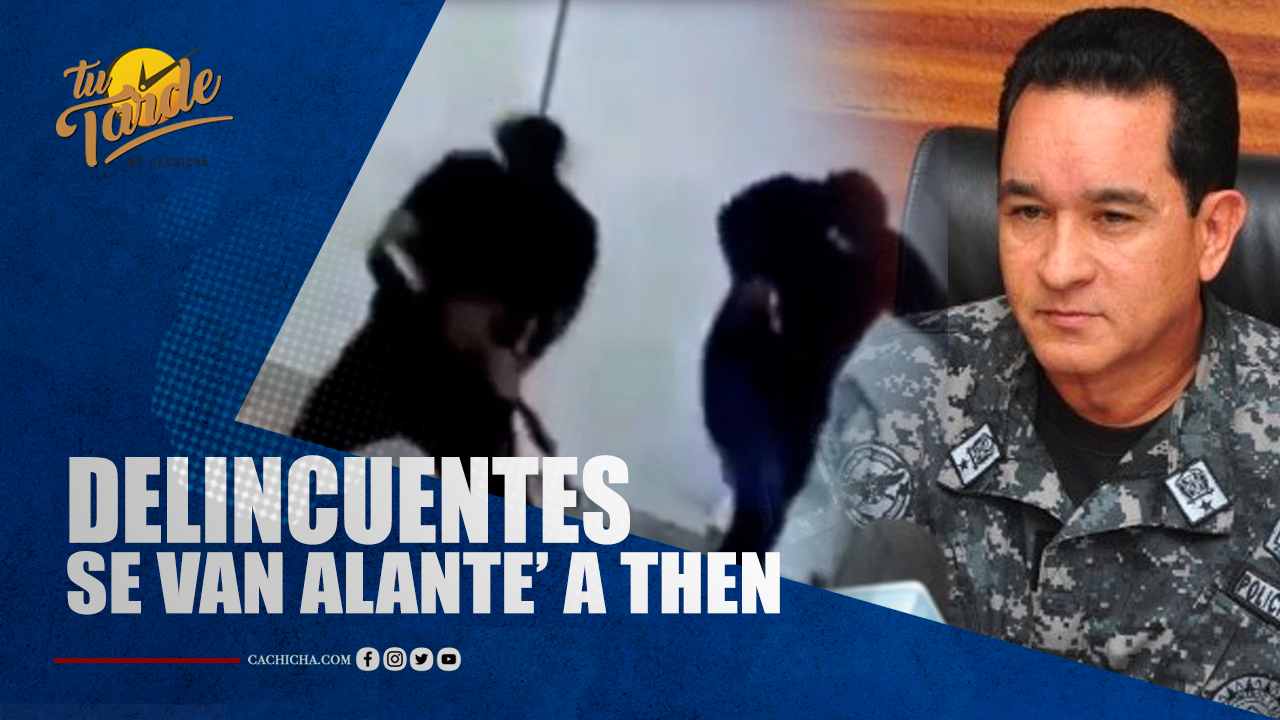 Delincuentes Se Van Adelante A Then | Tu Tarde