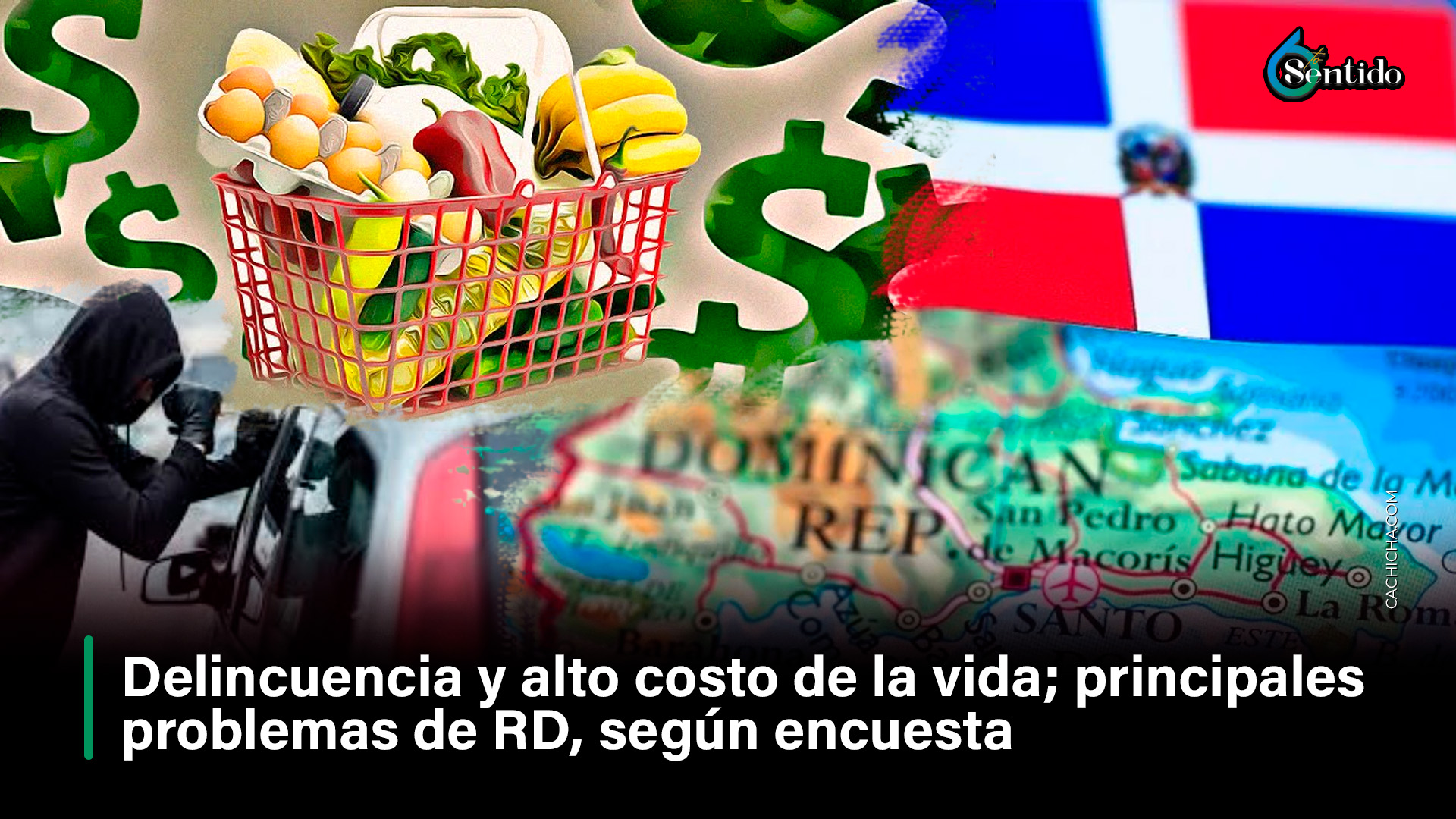 Principales Problemas De RD Según Encuesta