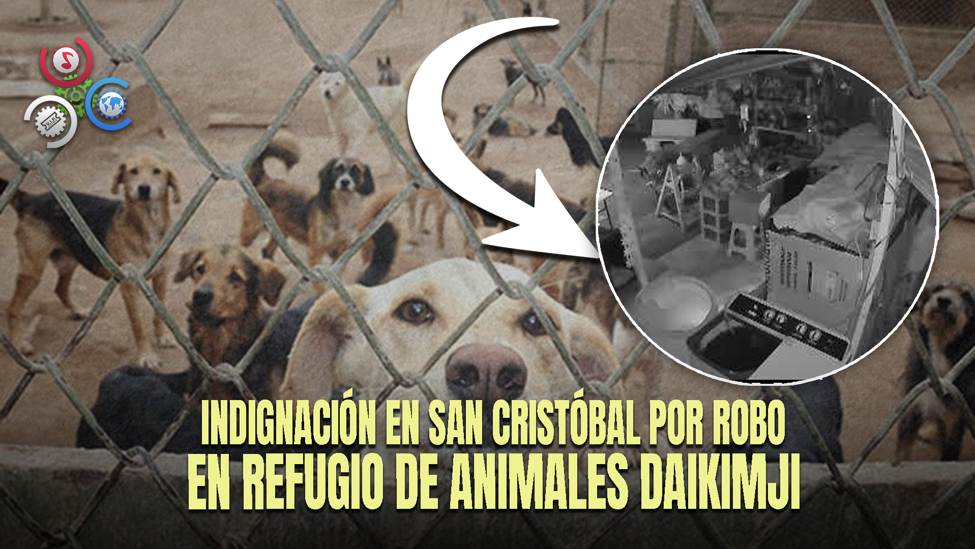 Delincuentes Despojan Equipos Y Alimentos En Albergue De Animales