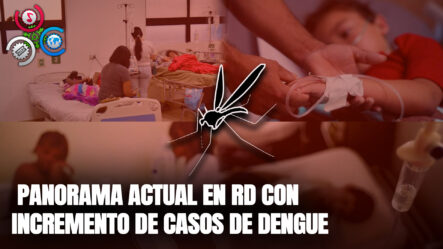 Luto Por Dengue | El Informe Con Alicia Ortega