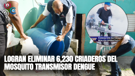 En Operativo Conjunto Instituciones Logran Eliminar 6,230 Criaderos Del Mosquito Transmisor Dengue