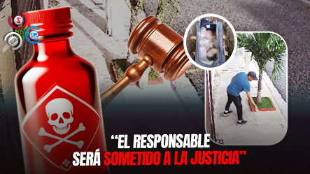 Denuncian Envenenamiento De Perros Captado En Cámaras Y Someterán A La Justicia Al Responsable