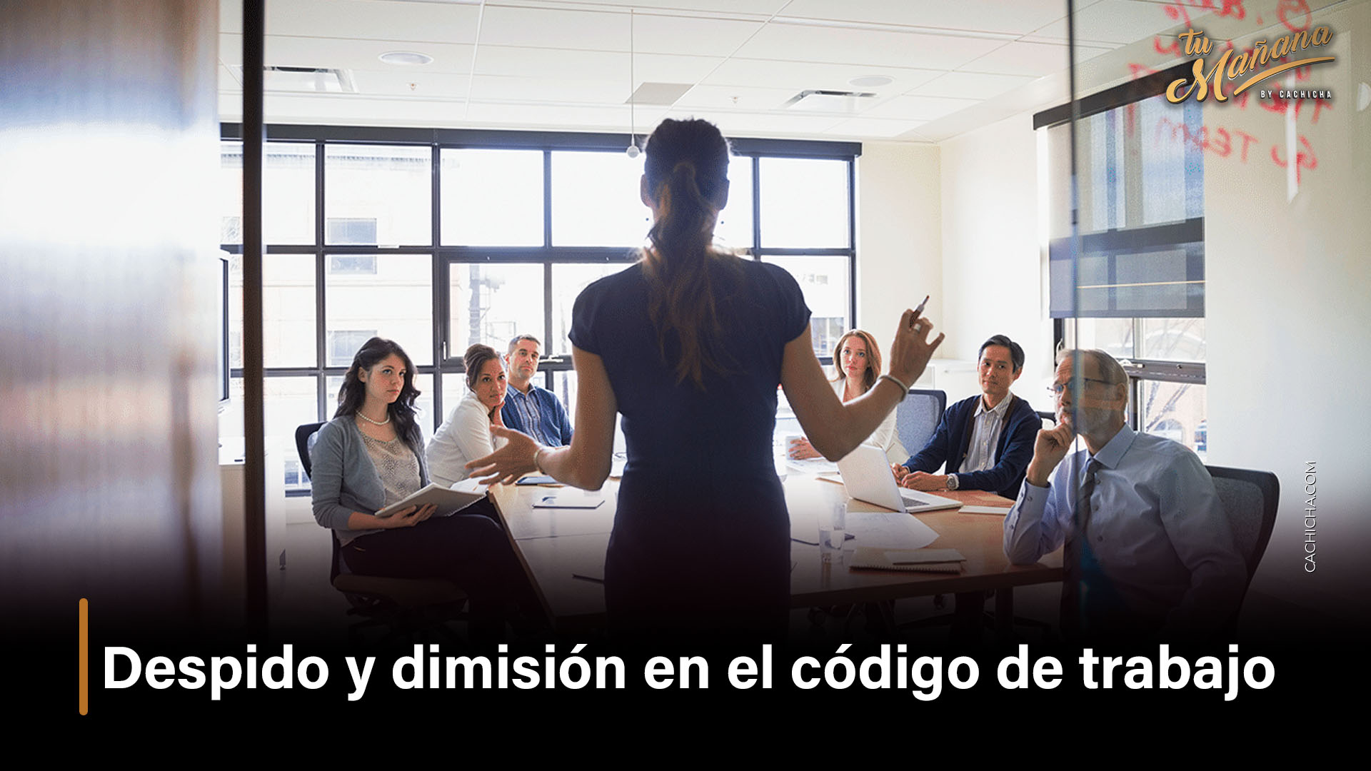 Despido Y Dimisión En El Código De Trabajo
