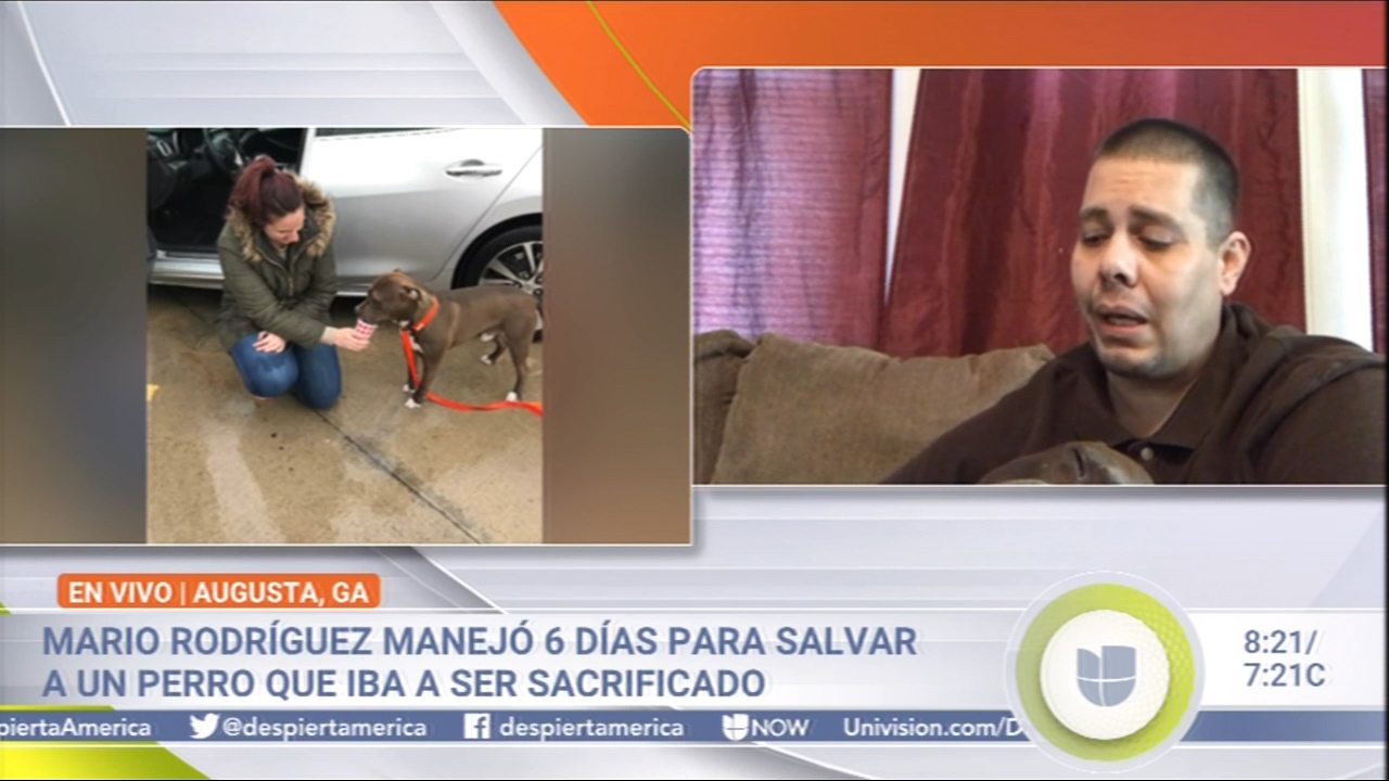 Mario Rodríguez Manejó 6 Días Para Salvar A Un Perro Que Iba A Ser Sacrificado