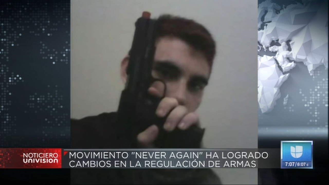 Movimiento “Never Again” Ha Logrado Cambios En La Regulación De Armas
