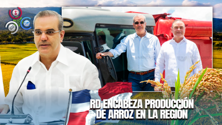 República Dominicana Lidera Producción De Arroz En El Caribe Y Centroamérica Y Garantiza Abastecimiento