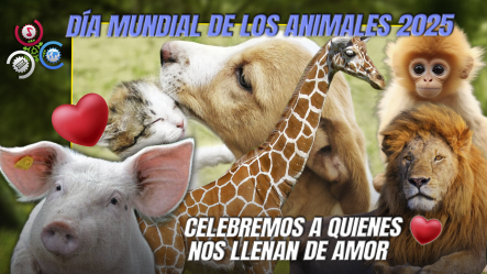 Día Mundial De Los Animales; “Celebrando A Nuestros Amigos De Cuatro Patas Y Más”