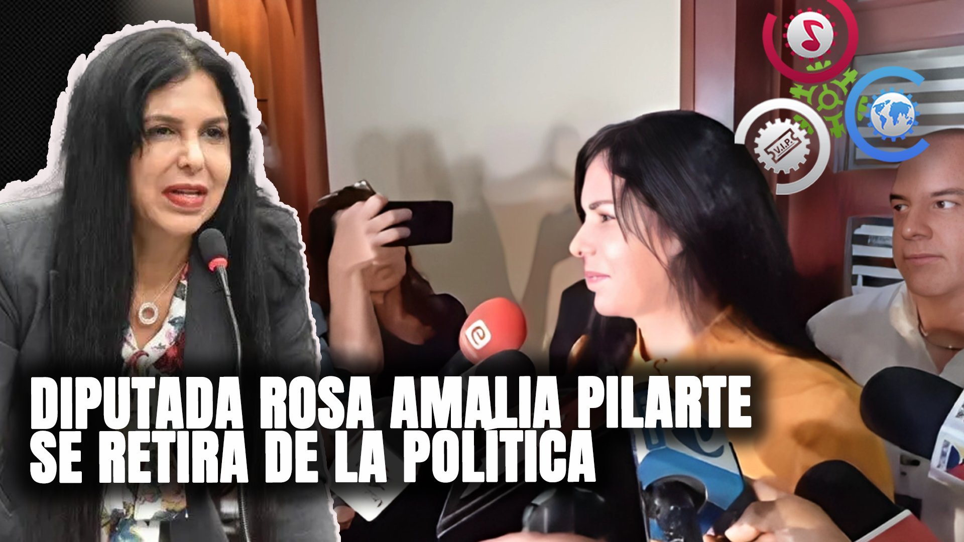Diputada Rosa Amalia Pilarte Se Retira De La Política