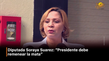 Diputada Soraya Suárez: “Presidente Debe Remenear La Mata” – Tu Tarde By Cachicha