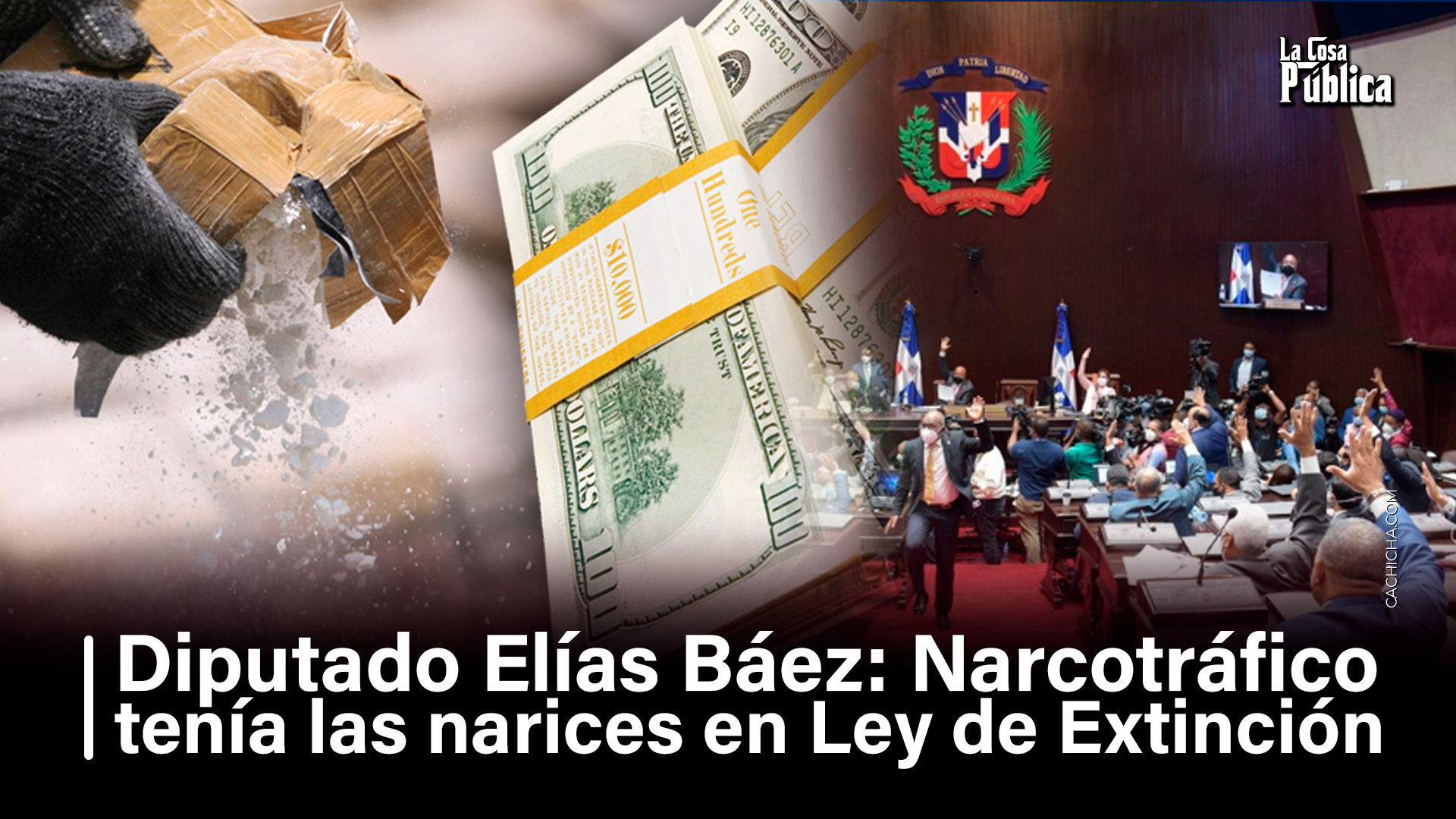 Diputado Elías Báez  Narcotráfico Tenía Las Narices En Ley De Extinción
