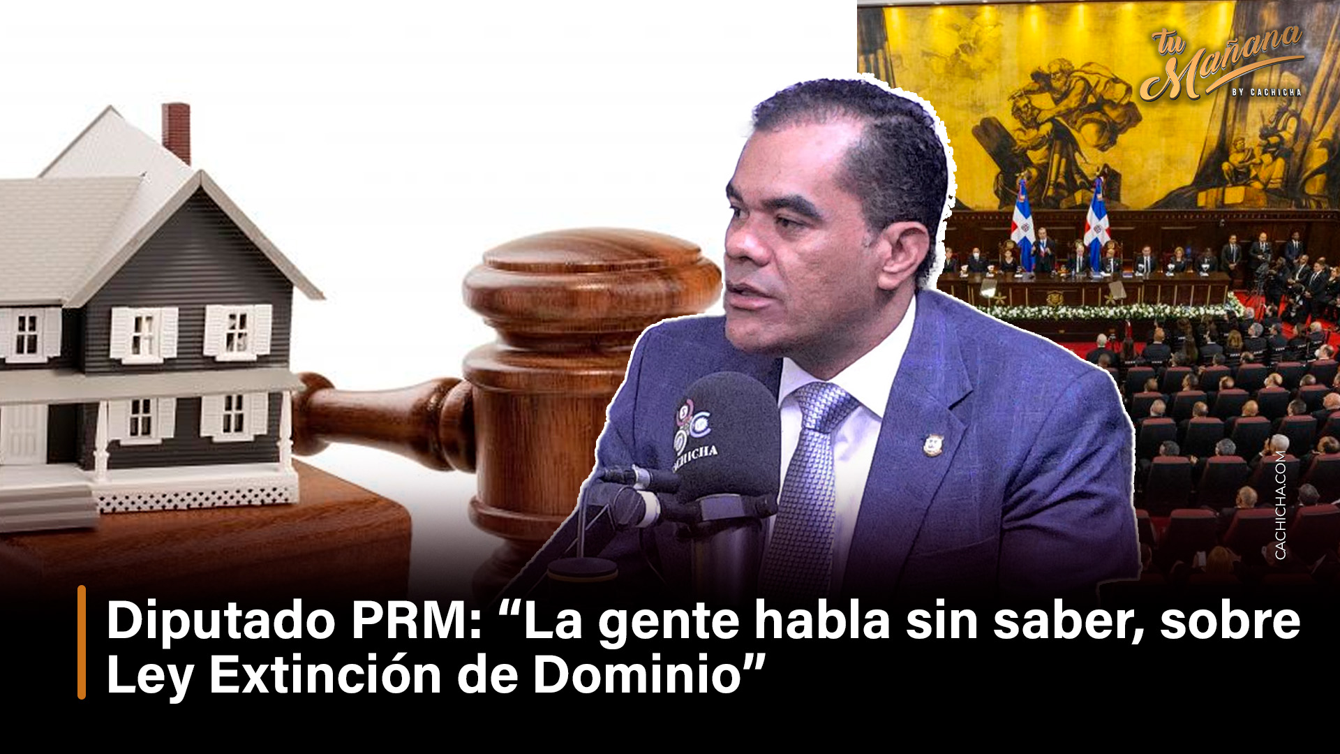 Diputado PRM: “La Gente Habla Sin Saber Sobre Ley Extinción De Dominio”
