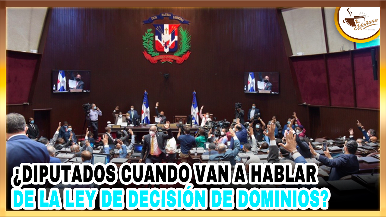 Diputados, ¿Cuándo Van A Hablar De La Ley De Decisión De Dominios?