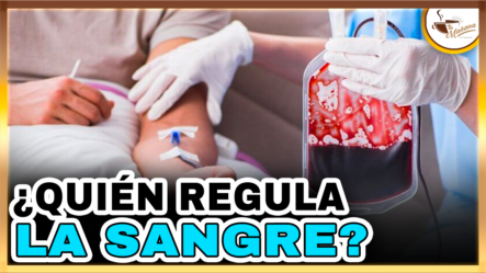Dugueslin Santana – ¿Quién Regula La Sangre? | Tu Mañana By Cachicha