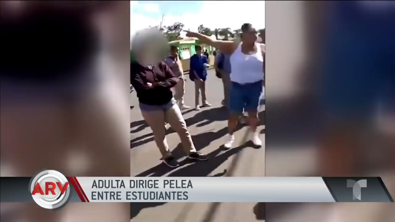 Polémica Por Madre Que Dirigió Pelea Entre Estudiantes