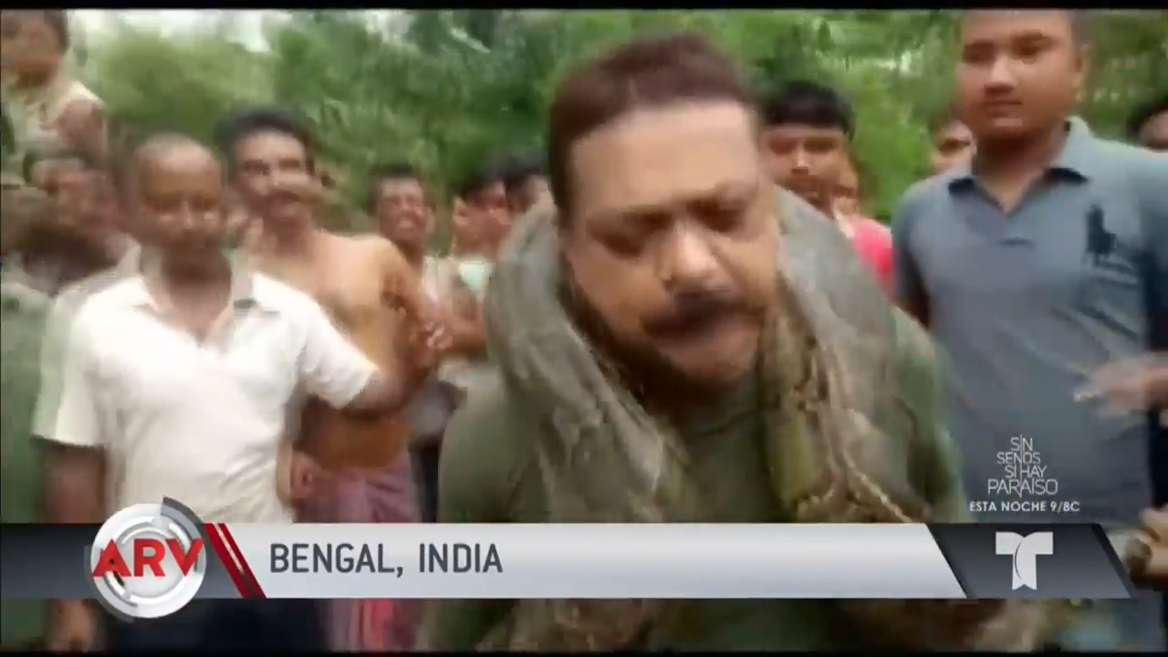 Intentó Tomarse Una Foto Con Una Culebra En El Cuello Y Mira Lo Que Pasó