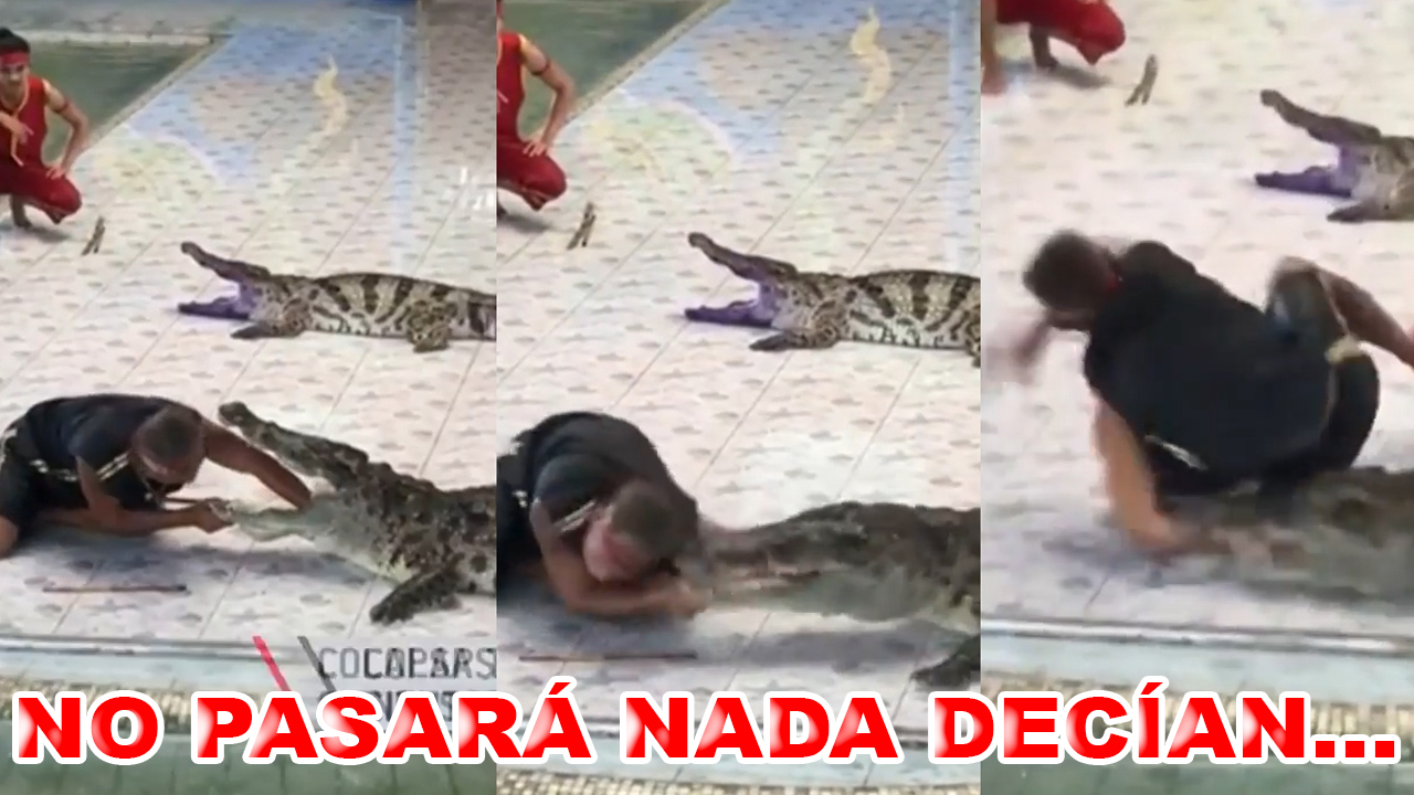 Metió La Mano En La Boca De Un Cocodrilo Y Esto Fue Lo Que Pasó…