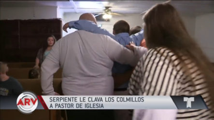 Serpiente Muerde A Pastor En Una Iglesia En Kentucky
