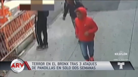 Los Trinitarios Continúan Sembrando El Terror En El Bronx