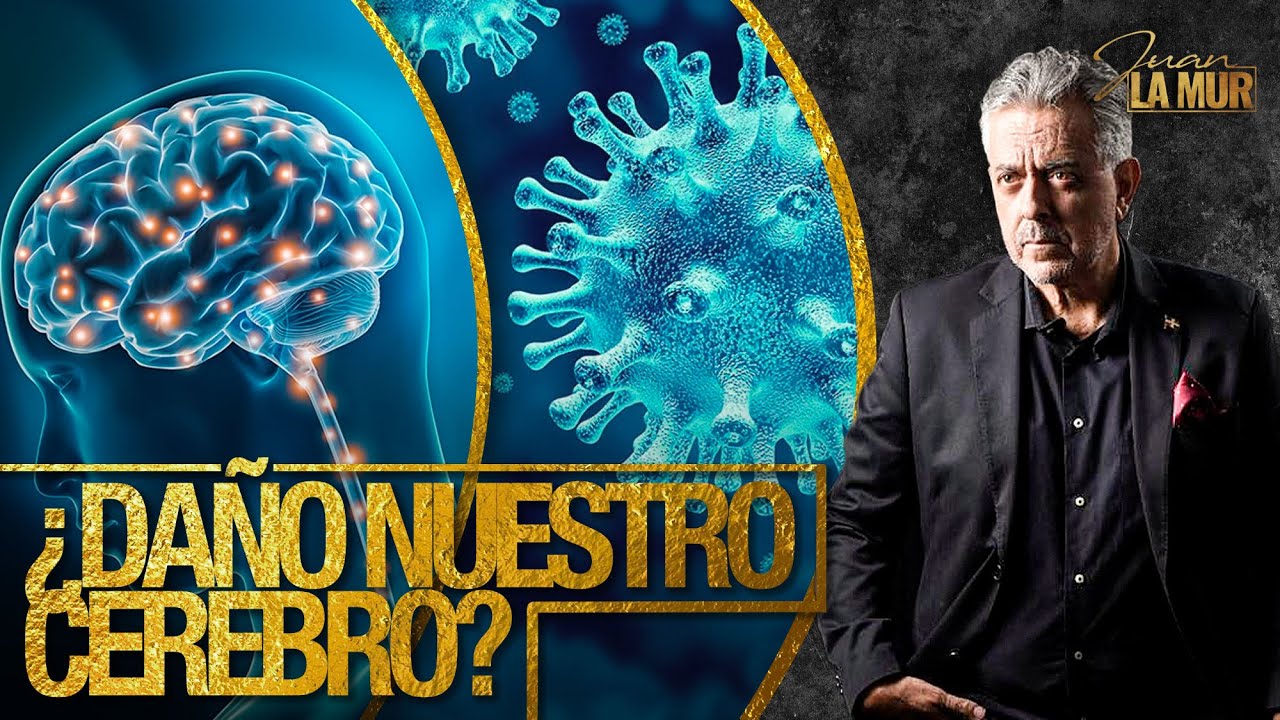 ¿EL COVID DAÑO NUESTRO CEREBRO? (La Mur Explica La Forma En Que El Covid Impactó Nuestro Cerebro)