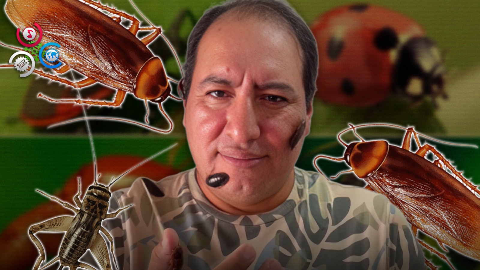 El “hombre Insecto” Revela Su Vida Con Cucarachas, Grillos Y Gusanos