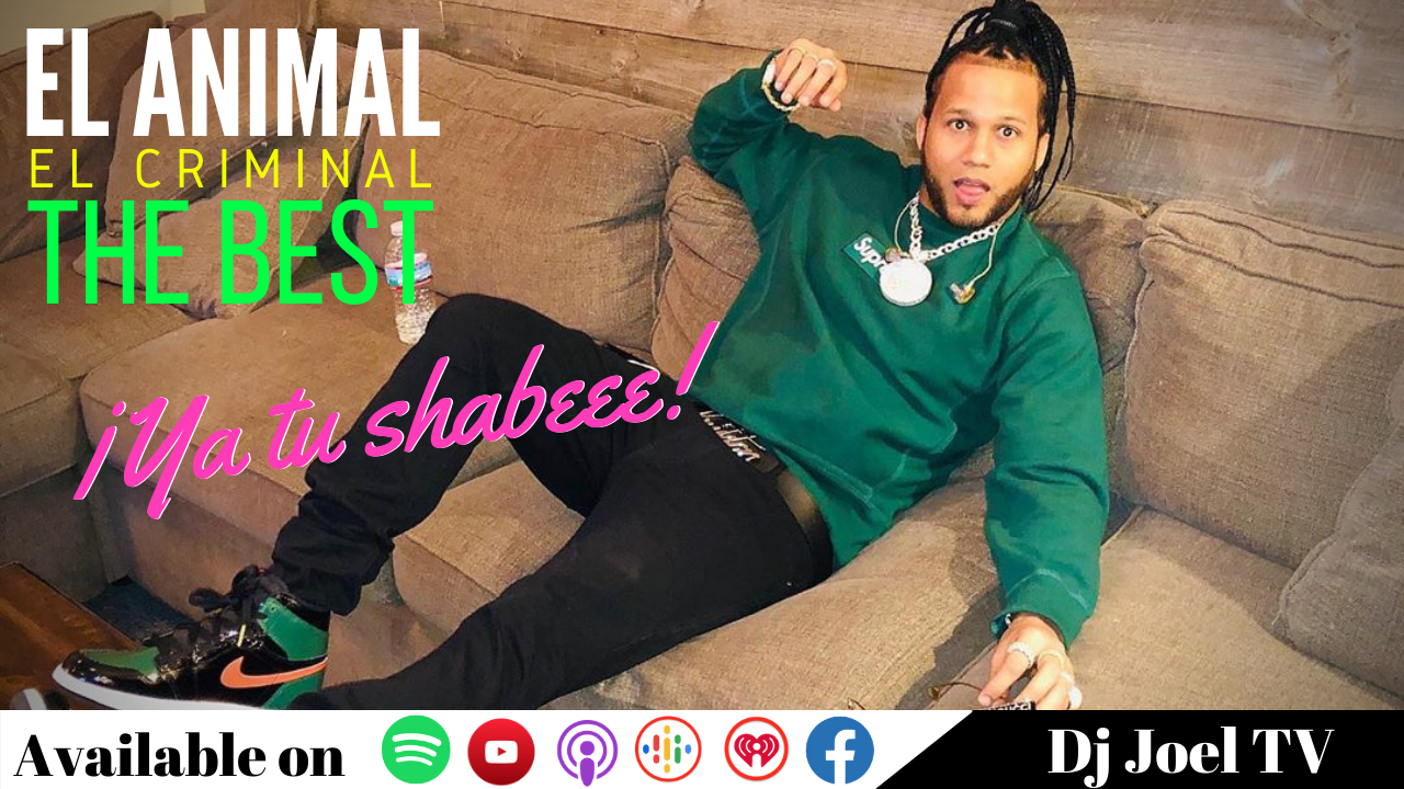 El Alfa Dice Que Al Nivel Que Está No Le Responde “ni A Su Mamá”