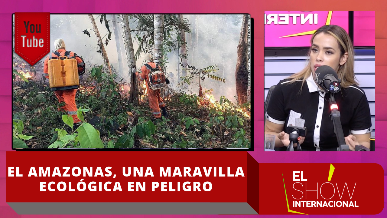 El Amazonas, Una Maravilla Ecológica En Peligro: Esto Es Lo Que Eso Significa Para El Medio Ambiente