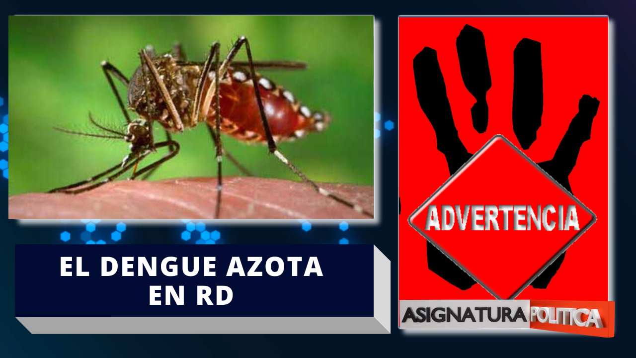 ¡Alerta! El Dengue Esta Azotando La República Dominicana