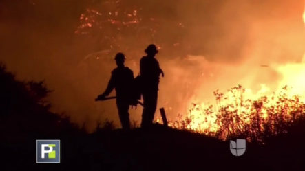 El Drama Que Se Vive En California Tras 15 Días De Incendio