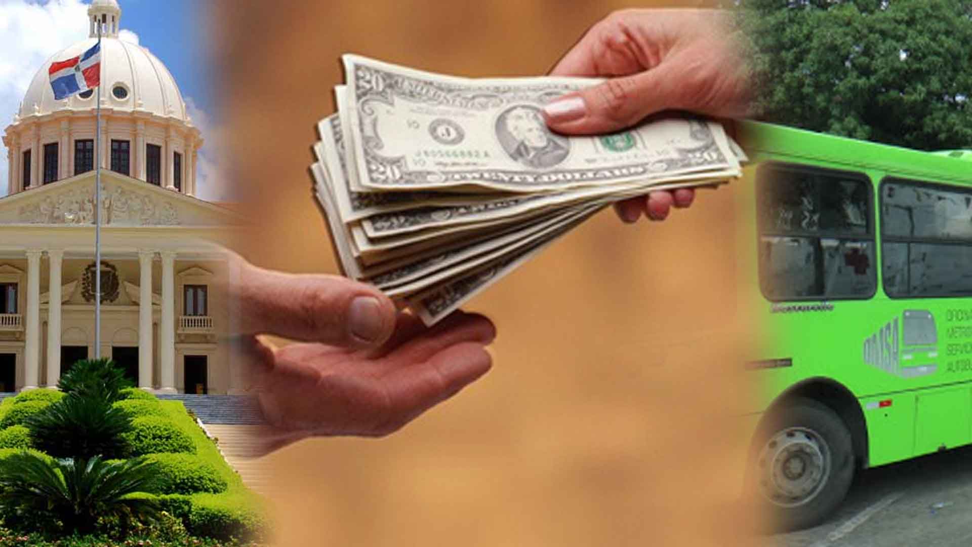 El Estado Recibe 8M De Las OMSA Según El Director