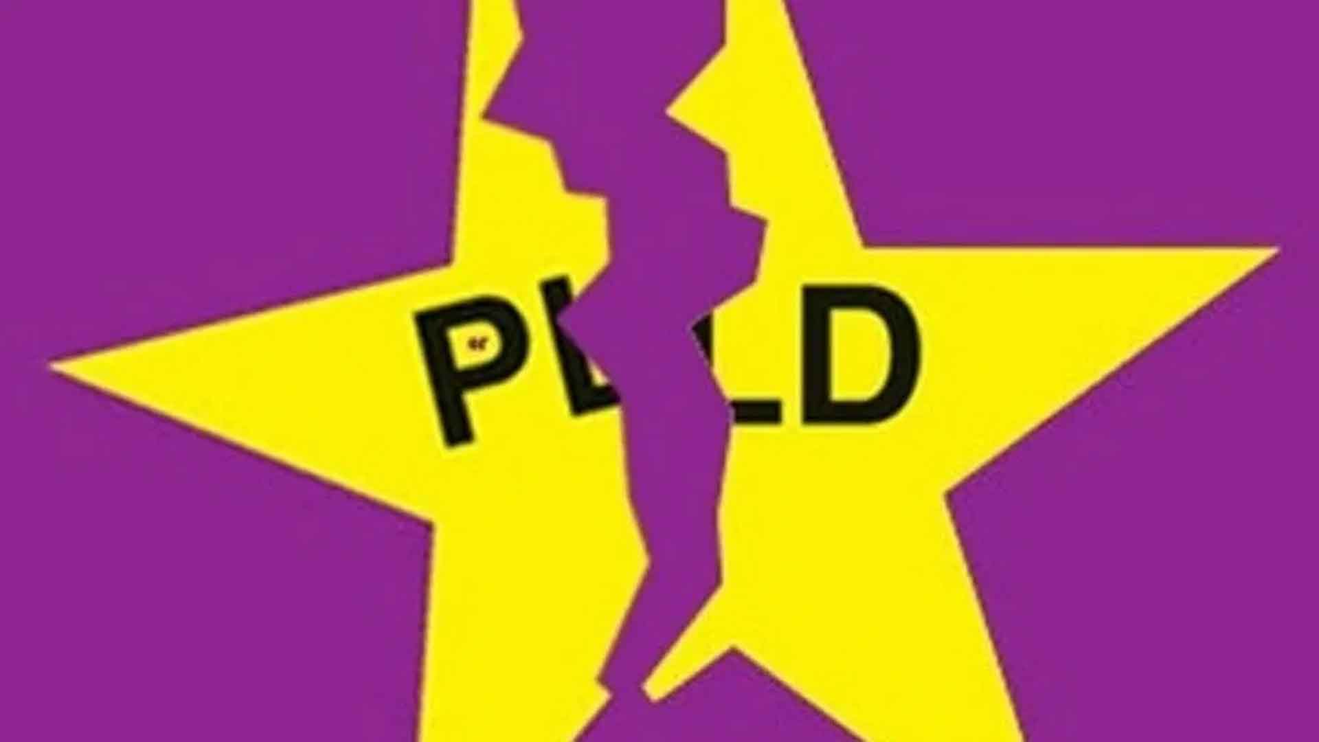 El Gran Error Que Acabó Con El PLD