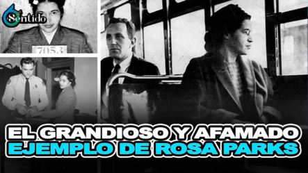 El Grandioso Y Afamado Ejemplo De Rosa Parks – 6to Sentido By Cachicha