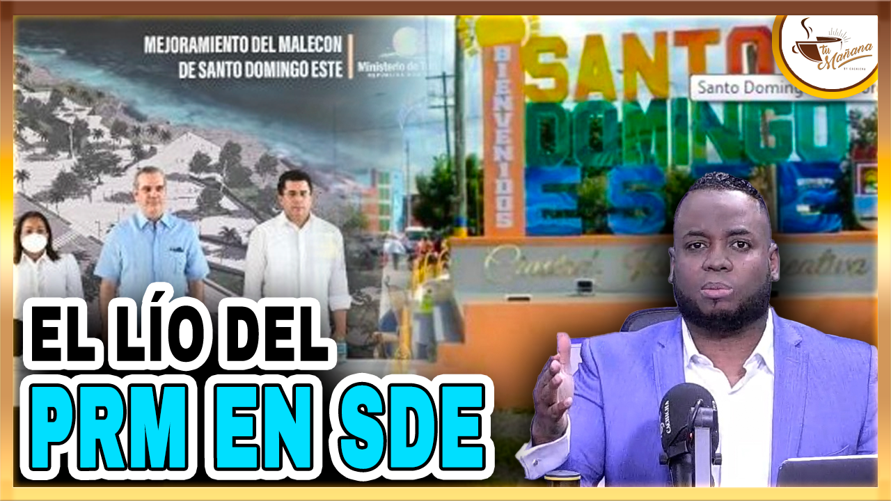 Elvin Castillo – El Lío Del PRM En SDE