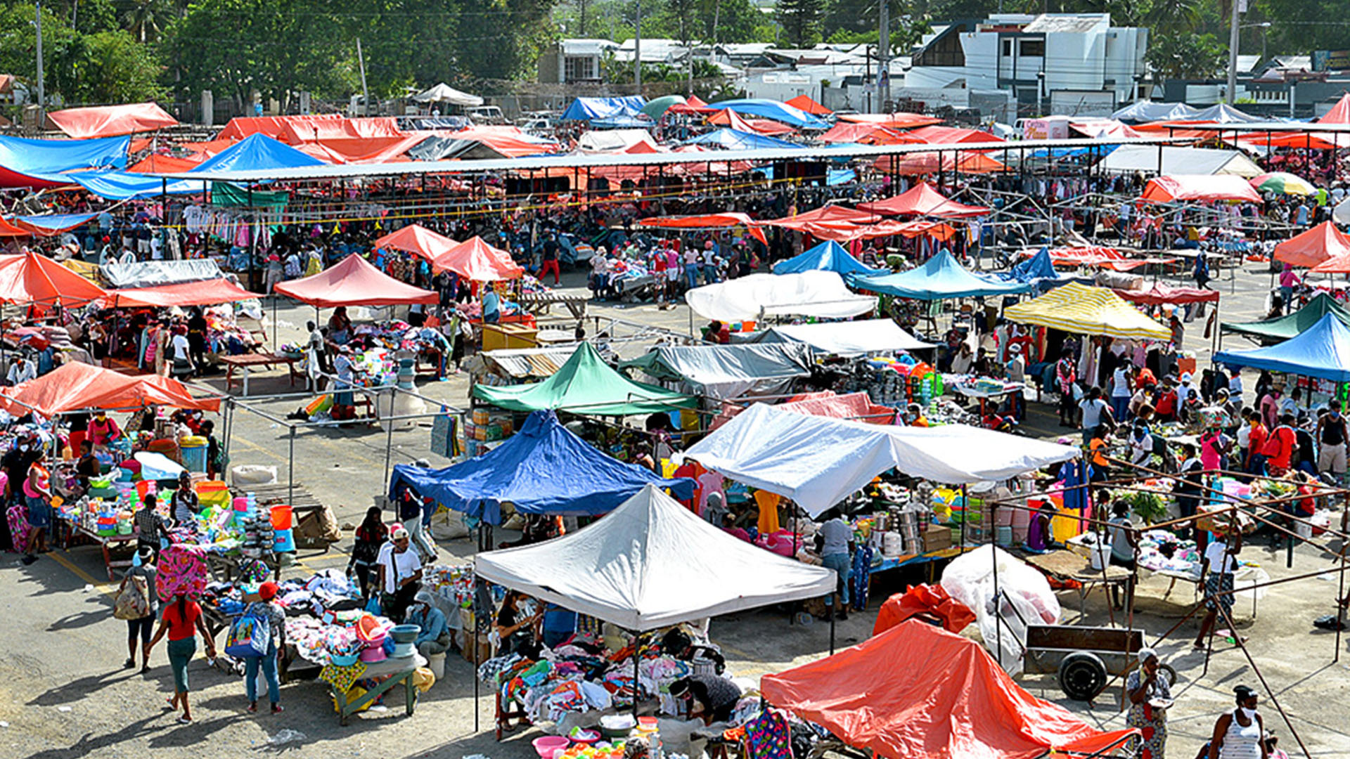 El Problema De La Nueva Localización De Las Pulgas