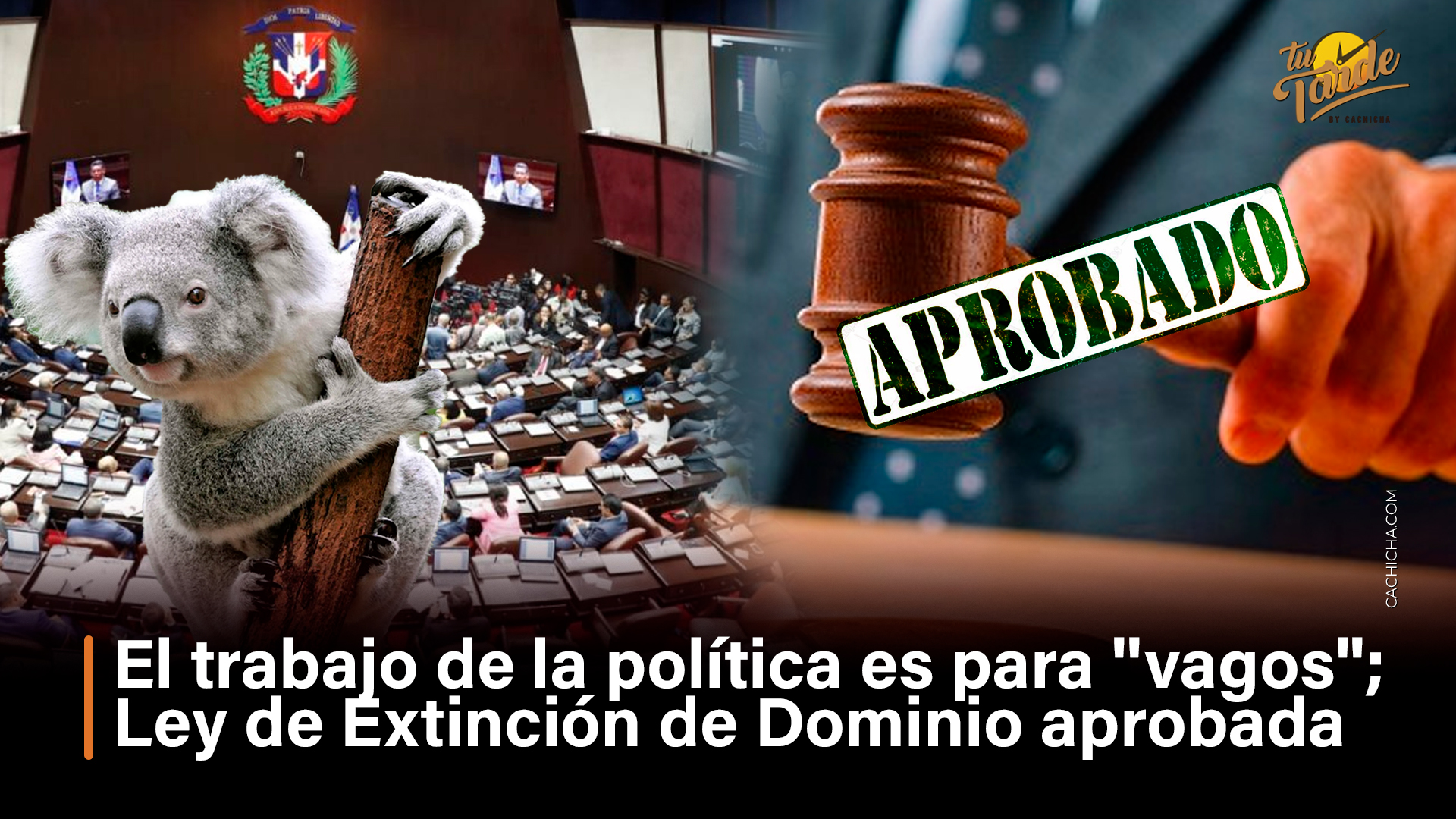 “El Trabajo De La Política Es Para Vagos”