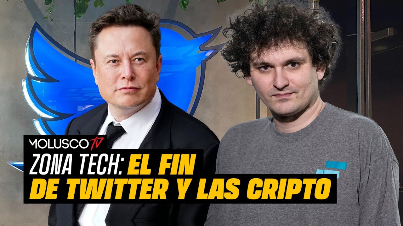 Elon Musk Destruye Twitter | Destapamos La Realidad Del Colapso Cripto