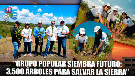 Empleados Del Grupo Popular Realizan Campaña De Reforestación En Plan Sierra