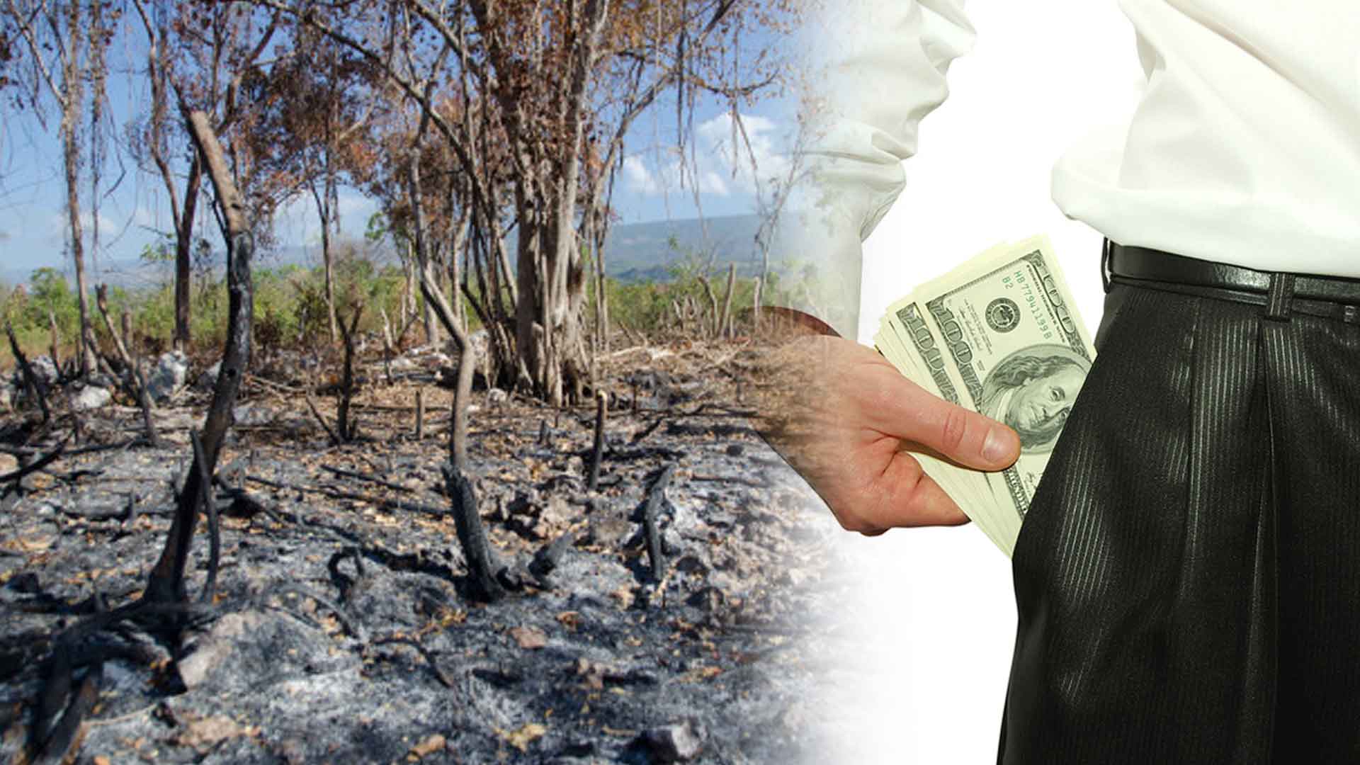 Empresarios Se Llenan Los Bolsillos A Costa De La Destrucción Del País