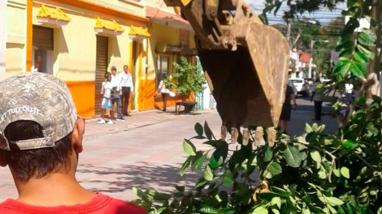 Juez Emite Orden Para Que Se Destruya Un Bulevar En Santiago